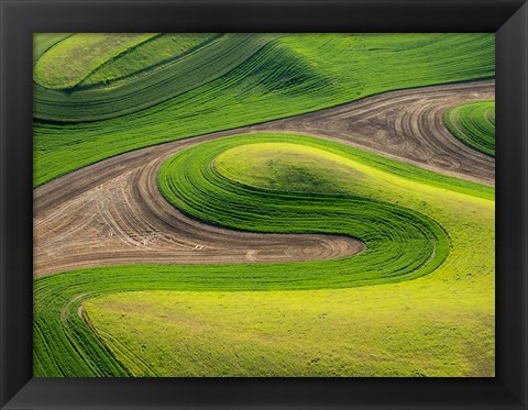 Framed Whitman County Aerial, Washington Print