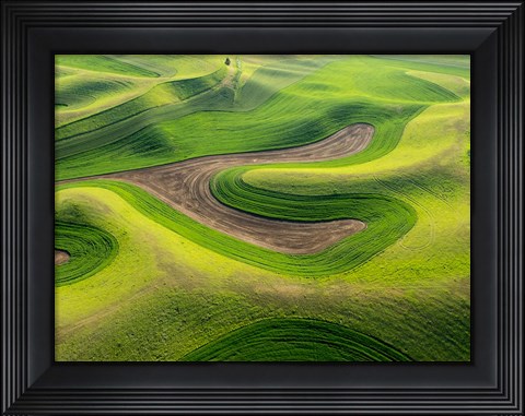 Framed Aerial Of The Palouse Region, Washington Print