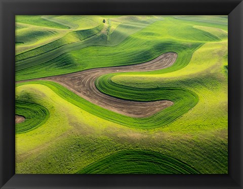 Framed Aerial Of The Palouse Region, Washington Print