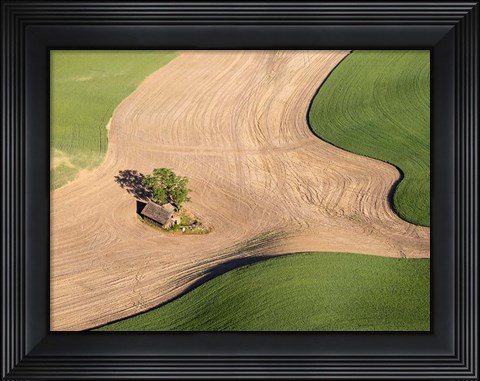 Framed Lone Farmhouse Of The Palouse Region, Washington Print