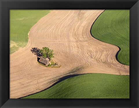 Framed Lone Farmhouse Of The Palouse Region, Washington Print