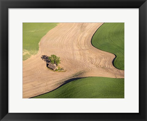 Framed Lone Farmhouse Of The Palouse Region, Washington Print