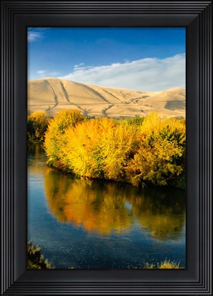 Framed Autumn Color Along The Yakima River Print