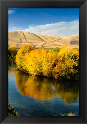 Framed Autumn Color Along The Yakima River Print