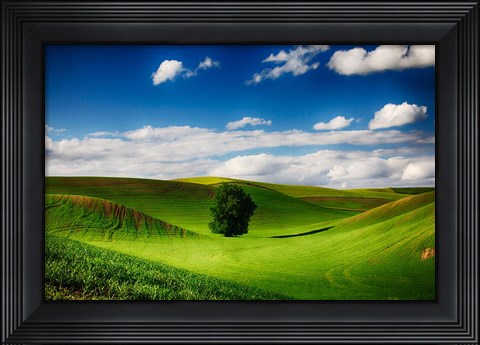 Framed Rolling Wheat Field Landscape With A Lone Tree Print