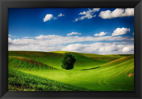 Framed Rolling Wheat Field Landscape With A Lone Tree Print