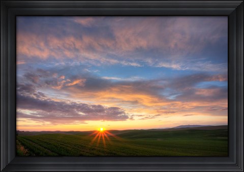 Framed Sunset Cast On Rolling Hills Of Green, Washington State Print