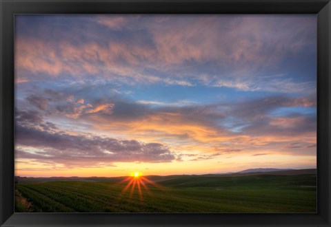 Framed Sunset Cast On Rolling Hills Of Green, Washington State Print