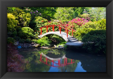 Framed Moon Bridge In The Kubota Gardensm Washington State Print