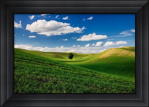 Framed Rolling Wheat Fields With A Lone Tree Print