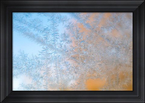 Framed Frost Patterns Formed On Glass Print