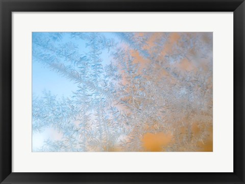 Framed Frost Patterns Formed On Glass Print