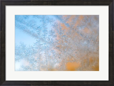 Framed Frost Patterns Formed On Glass Print