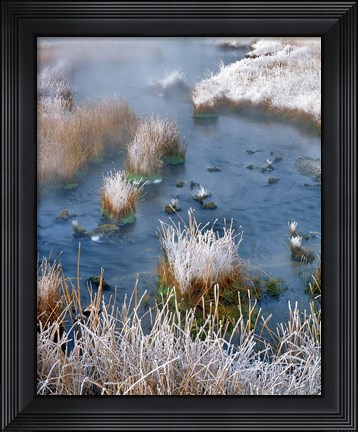 Framed Frost Along White Creek, Wyoming Print