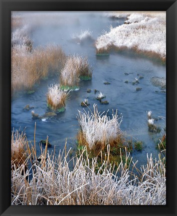 Framed Frost Along White Creek, Wyoming Print