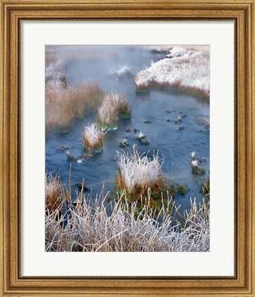 Framed Frost Along White Creek, Wyoming Print