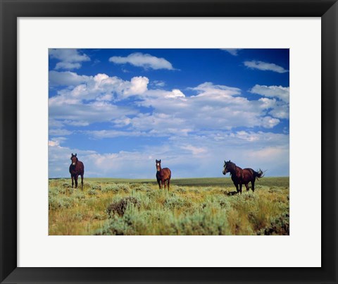 Framed Wild Horses Near Farson, Wyoming Print