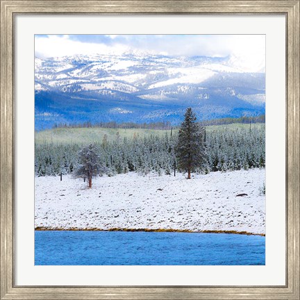 Framed Yellowstone National Park In Winter, Wyoming Print