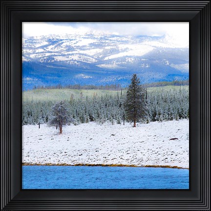 Framed Yellowstone National Park In Winter, Wyoming Print