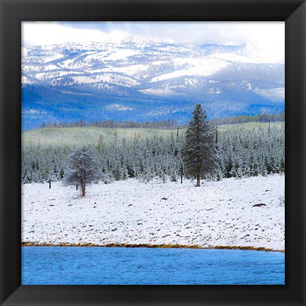 Framed Yellowstone National Park In Winter, Wyoming Print