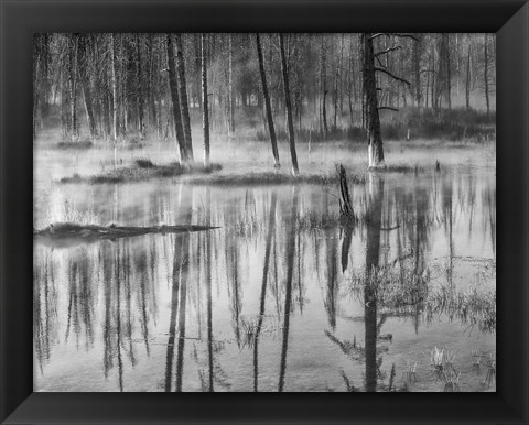 Framed Mistry Creek, Wyoming (BW) Print