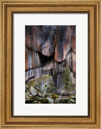 Framed Lichen On Cliff Walls With Single A Tree In The Lamar River Gorge Print