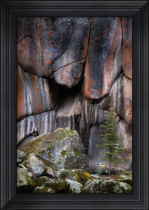Framed Lichen On Cliff Walls With Single A Tree In The Lamar River Gorge Print