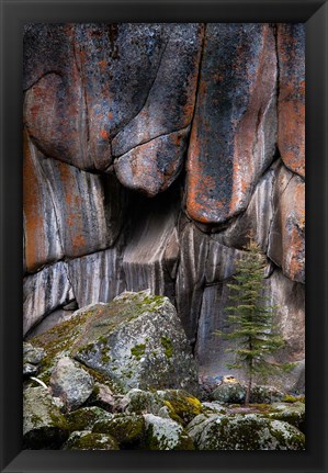 Framed Lichen On Cliff Walls With Single A Tree In The Lamar River Gorge Print