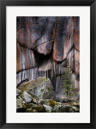 Framed Lichen On Cliff Walls With Single A Tree In The Lamar River Gorge Print