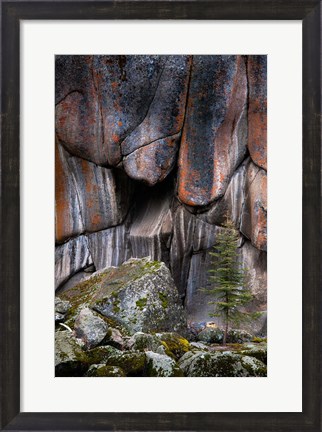 Framed Lichen On Cliff Walls With Single A Tree In The Lamar River Gorge Print