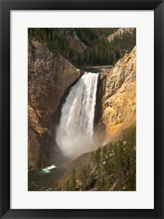 Framed Lower Falls Of The Yellowstone, Lookout Point, Wyoming Print