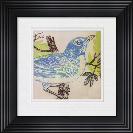 Framed Bluebird Print
