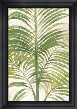 Framed Palms II Bright Print