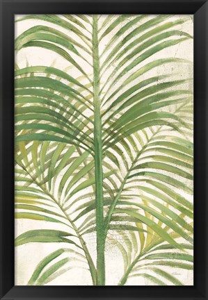 Framed Palms II Bright Print