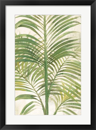 Framed Palms II Bright Print