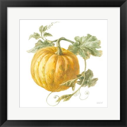 Framed Floursack Autumn V on White Print