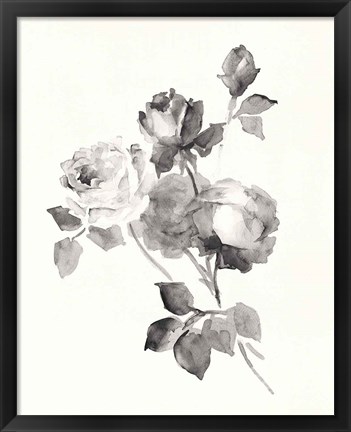 Framed Rose Blossoms Gray Print