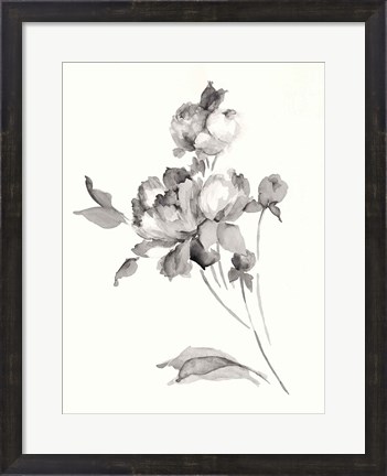 Framed Peony Blossoms Gray Print