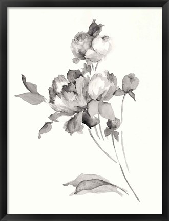 Framed Peony Blossoms Gray Print