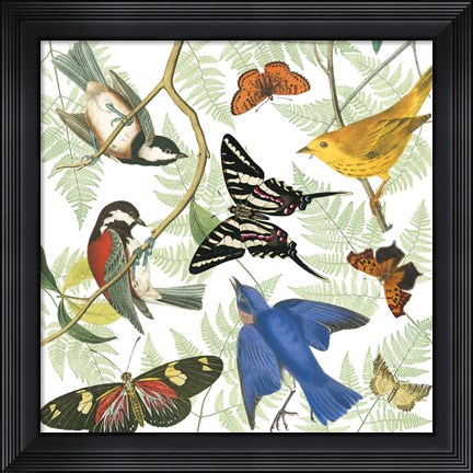 Framed Natures Flight II Print
