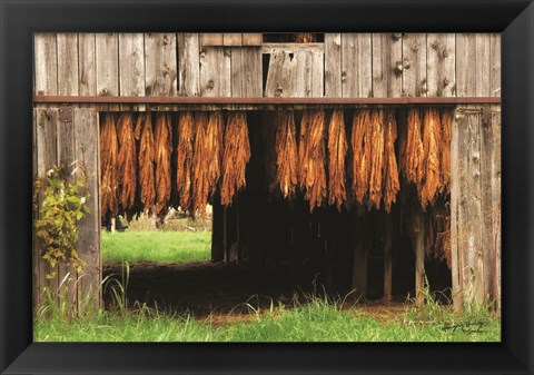 Framed Tobacco Barn Print