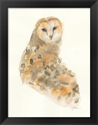 Framed Barn Owl Print
