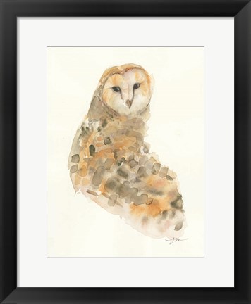 Framed Barn Owl Print