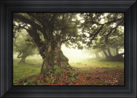Framed Light from Behind Print