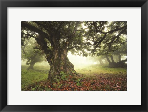 Framed Light from Behind Print