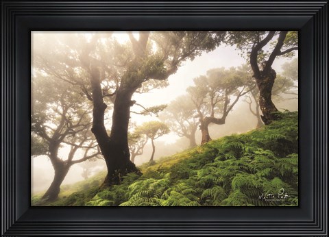 Framed Just Some Trees on a Hill Print
