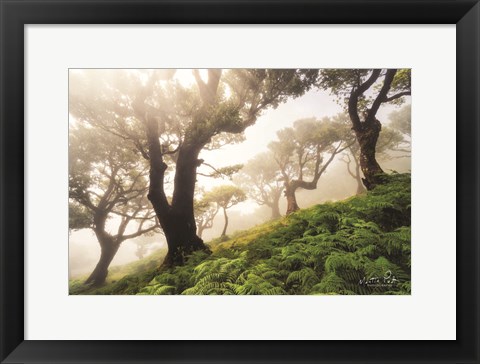 Framed Just Some Trees on a Hill Print