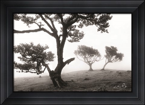 Framed Creatures Print