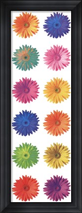 Framed Pop Art Daisies Print