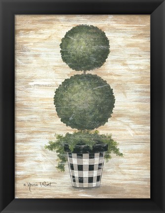 Framed Gingham Topiary Spheres Print